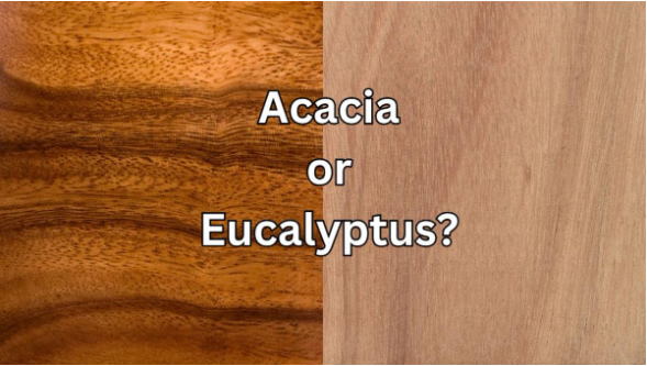 acacia vs eucalyptus furniture